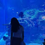 Amanda Syavira Wijaya - @amandasyvraa_ - Instagram