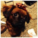 Amanda Wilber - @mandabob707 - Instagram
