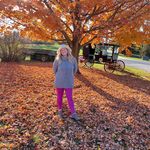 Amanda Wilber - @amandawilber39 - Instagram