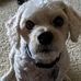 Amanda Willenborg - Facebook