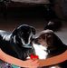 Amanda Willenborg - Facebook