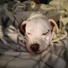 Amanda Winn - @amanda.winn6 - TikTok