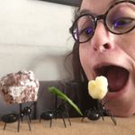 Amanda Winn Lee - @painkillershopping - Instagram