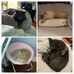 Amanda Withrow - Facebook