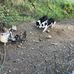Amanda Woolley - Facebook