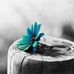 Amanda Yeager - Facebook