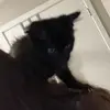 amanda.yeager - @amanda.yeager - TikTok
