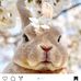 Amanda Yim - Facebook