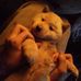 Amanda Yim - Facebook