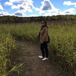 Amanda Yip - @amandajyip - Instagram