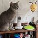 Amanda Yip - Facebook