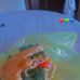 Amanda Yaourt - Facebook