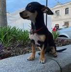 Amanda Zelaya - Facebook