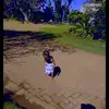 Amanda Zhou865 - @amandazhou08 - TikTok