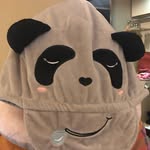 Amanda Zhou - @amanda.zhou.79230305 - Instagram