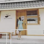 Amanda Zhou - @amandazhou912 - Instagram
