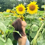Amanda Zhou - @amanda_zhou_ - Instagram
