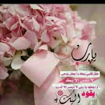 Amani Abbas - @amani.abbas.7 - Instagram