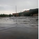 Amani abbas - @amaniabbas5 - Instagram