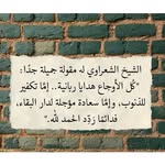 Amani Abbas - @amaniabbas71 - Instagram