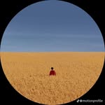 Amanuel Abebe - @amanuel__abebe - Instagram