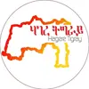 amanuel solomon Abebe - @amanuel.solomon.a - TikTok