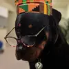 Amanuel Adane - @amanueladane_ - TikTok