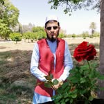 Amanullah Amin - @amanullah.tanha.7777 - Instagram