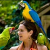 Amany Ali - @amany.ali29 - TikTok
