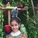 Amany Ashour - @mnmnashour - Instagram
