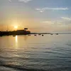 Amany ashour - @amanyashour62 - TikTok