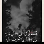Amany Elsayed - @amanyelsayed9196 - Instagram