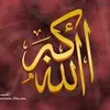 Amany Elsayed - @amanyelsayed54 - TikTok