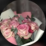 AMANY ELSAYED - @aman.y1653 - Instagram