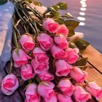 Amany Harb - Facebook