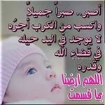 Amany Ibrahim - @amany.ibrahim14 - Instagram
