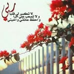 Amany Ibrahim - @amany.ibrahim73 - Instagram