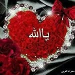 Amany Ibrahim - @amany.ibrahim.902604 - Instagram