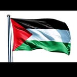 Amany Ibrahim - @amanyibrahim49 - Instagram