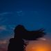Amany Mostafa - Facebook