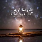 Amany Mroueh - @amanyevak - Instagram