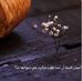 Amany Saad - Facebook