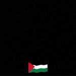 Amany Soliman - @amany__soliman - Instagram