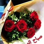 Amany Soliman - @solyman.amany - Instagram