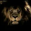 تت - @amaragha6 - TikTok