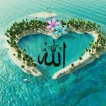 amar.aghaei - @amar.aghaei - Instagram