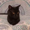 Amar ait - @amar.ait2 - TikTok