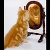 Amar_Ashraf2 - @Amar_Ashraf2 - TikTok