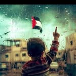 Amar Ayoub - @amarayoub717 - Instagram