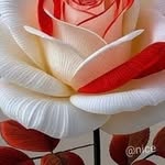 Amar Babu - @amarbabu1476 - Instagram